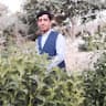 Abdul Malik Khoshal