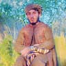 سحر فراهی