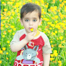 Mohammad Shakir