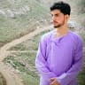 Omid R Pathan
