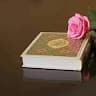 pardes Khan