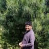 Gul moeen