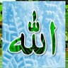 Technical Zahid rohan