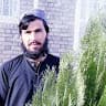 Hassinullah Sangrwal