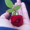 zul hade