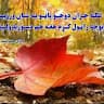 Bahar Pakteen