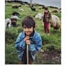 idrees waziri