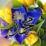 Ehsanullahsafi Safi
