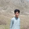 Zia UL haq Darwesh