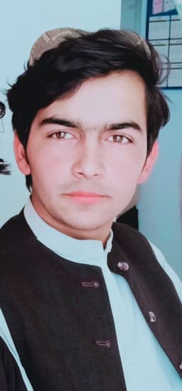 M Fazli