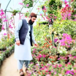 Safeer Ahmad Amarkhil