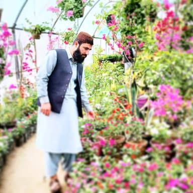 Safeer Ahmad Amarkhil