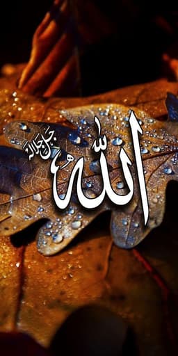 Habiburehman 