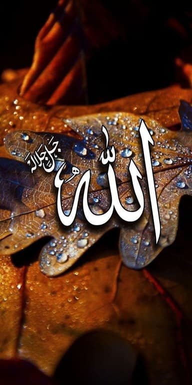 Habiburehman 