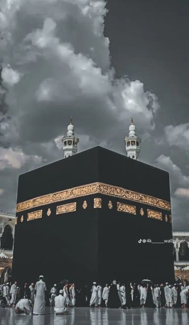 Mohammad Mustafa 
