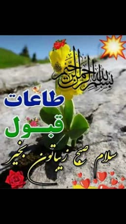 Samiullah Afghan