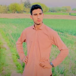Nik Pacha Ahmadzai