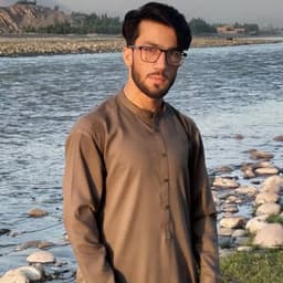 Zalmi Sadat