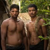 JungleSurvival