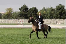 Shahzada