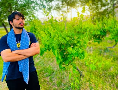 Samir Bahrami
