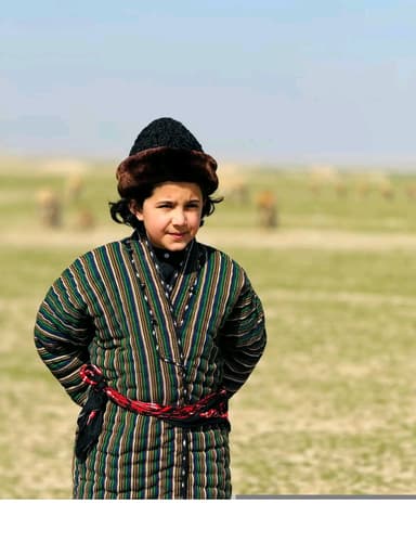 Fazl Niazi
