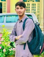Sultan Mahmood Pathan