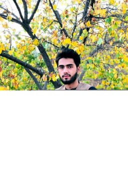 Hezbullah Anwari