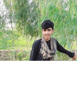 Ziaulhaq Zia