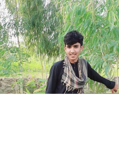 Ziaulhaq Zia