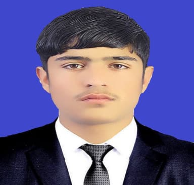 Mohammad Kamran SAFI