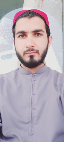 طوطی جان دیلسوز