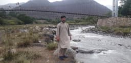 Firdous Bahar