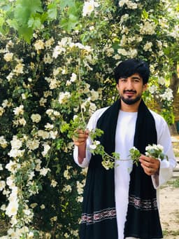 khoshal alizia