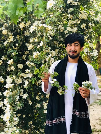 khoshal alizia