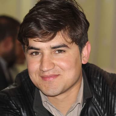 Najeeb Sedeqi