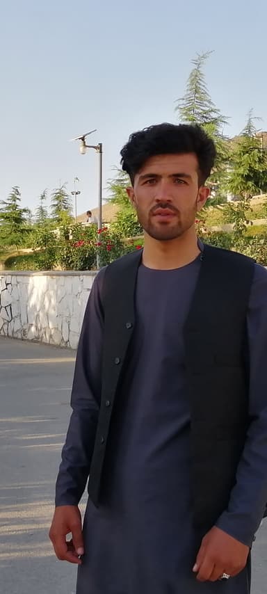 Muhammad Walli Hashmi