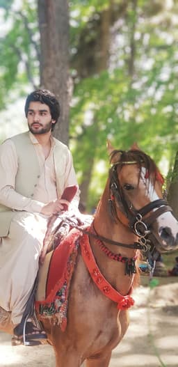 Abdulhadi Rishteen