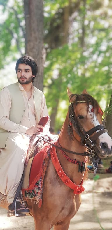 Abdulhadi Rishteen