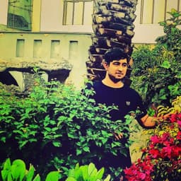 Mojtaba Alimi