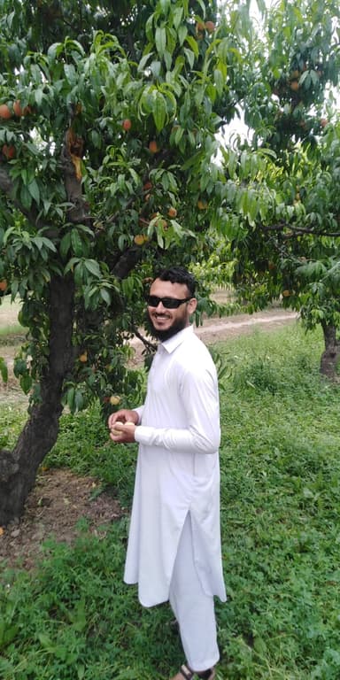 Liaqat Hashmi