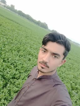 Shahid Mukhlis