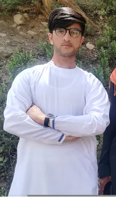 arman jan