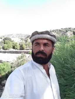 Hameed Ullah