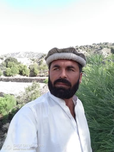 Hameed Ullah