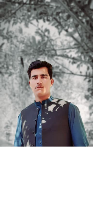 Rohullah Shokhil