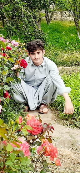 Anamullah zaheen