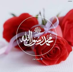 abdulqadir ahmadi