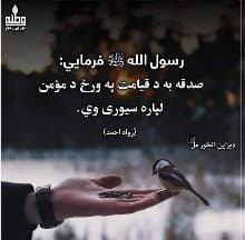 Hikmatullah Salimzai