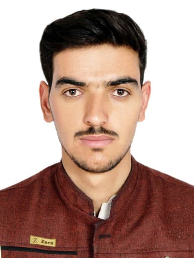 Afghan tiger